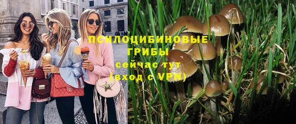 дурь Балахна