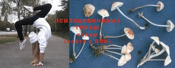 марки nbome Баксан