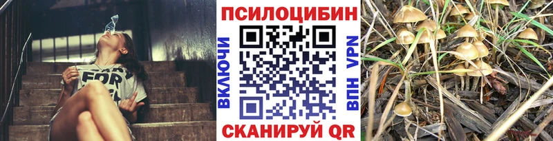 ОМГ ОМГ как войти  Белоозёрский  Псилоцибиновые грибы прущие грибы 